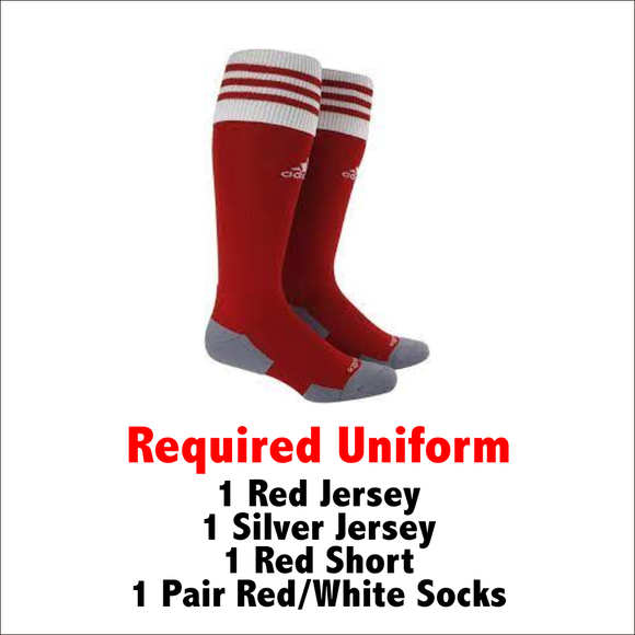 WJSC Uniform - Adidas Copa Zone Sock - **Required Uniform Item**