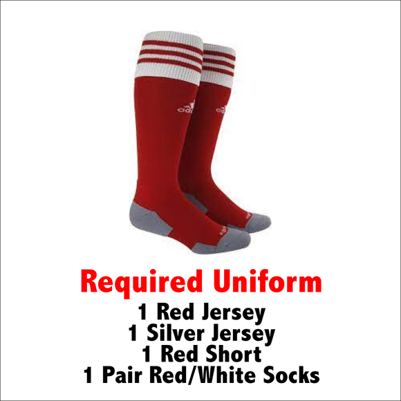 WJSC Uniform Adidas Copa Zone Sock Required Uniform Item